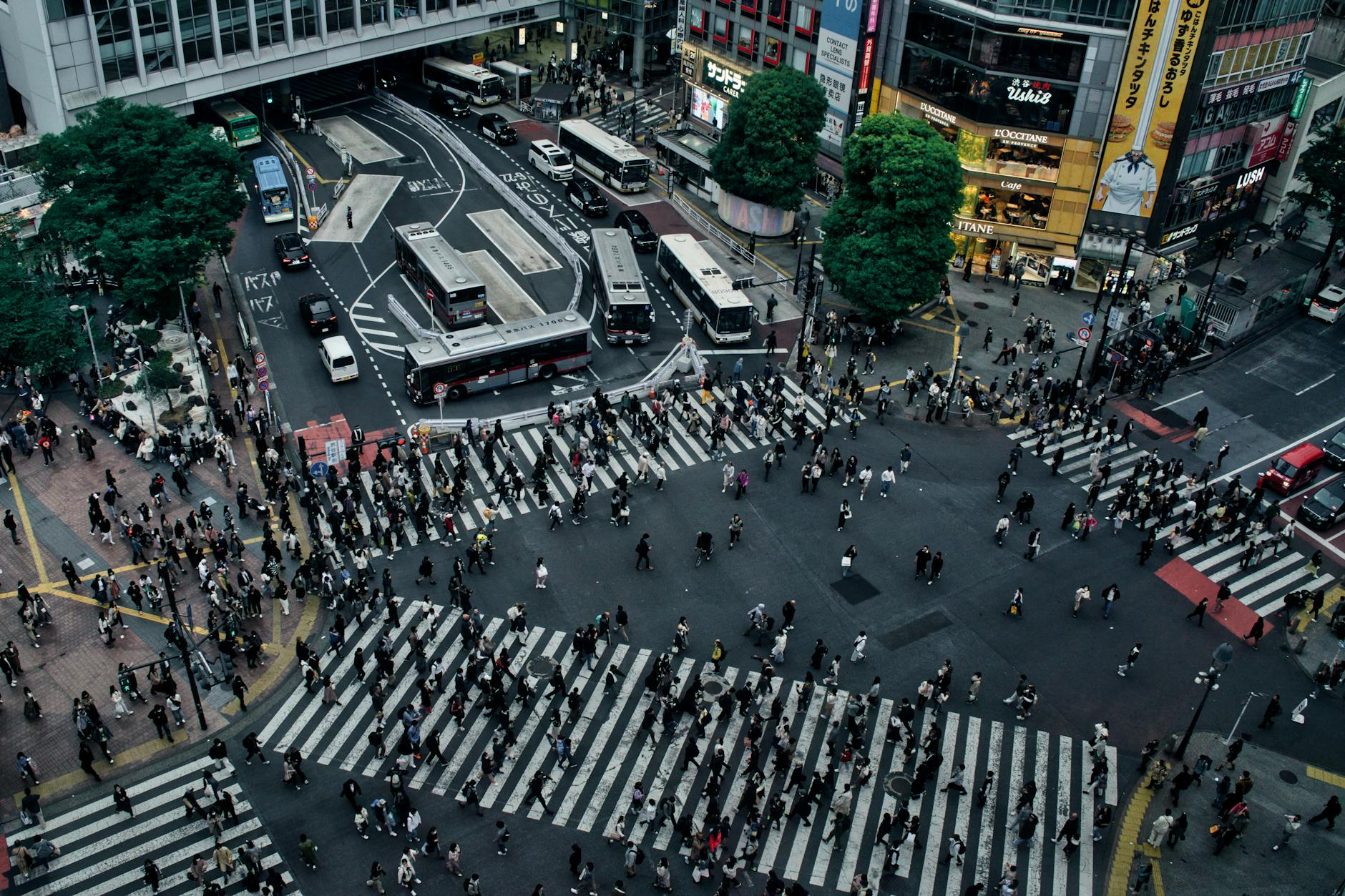 East Asia’s ‘Childless Future’: Can Japan’s Policies Turn the Tide?